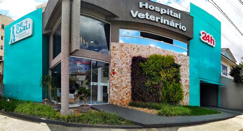 hospital veterinario tomares|Veterinário em Tomares